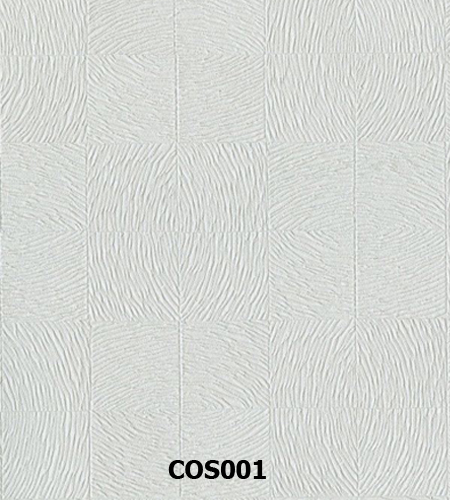 COS001 copy