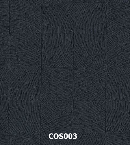 COS003 copy