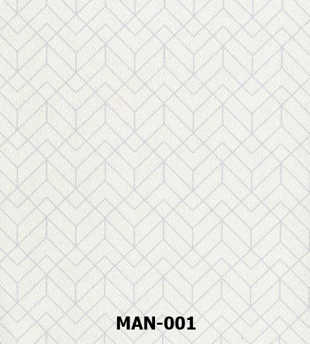 MAN-001 copy