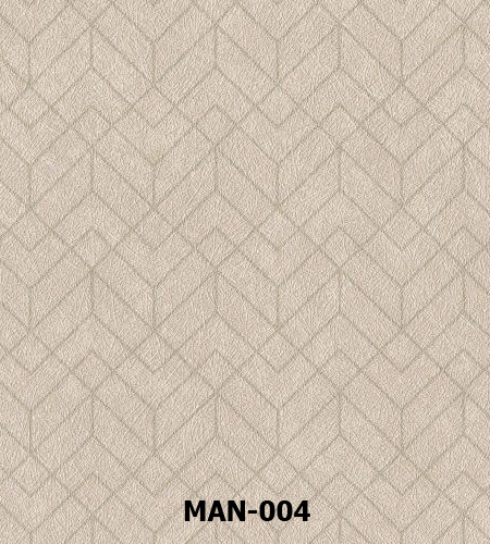 MAN-004 copy