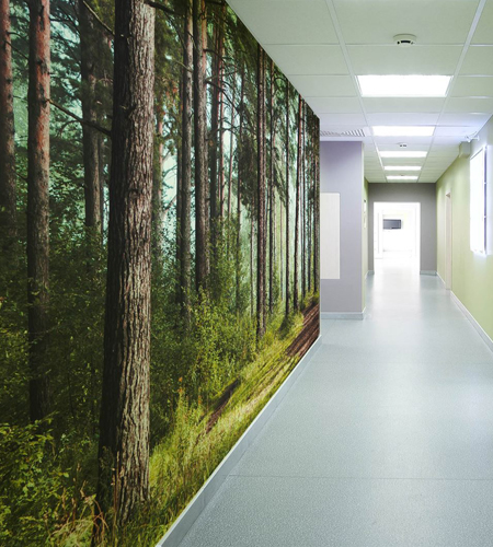 Newmor-Custom-Forest1