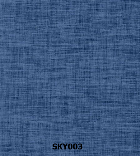 SKY003 copy