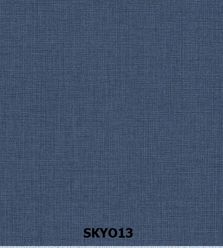 SKYO13 copy